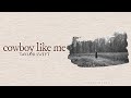 Taylor Swift - cowboy like me (Lyric Video) HD