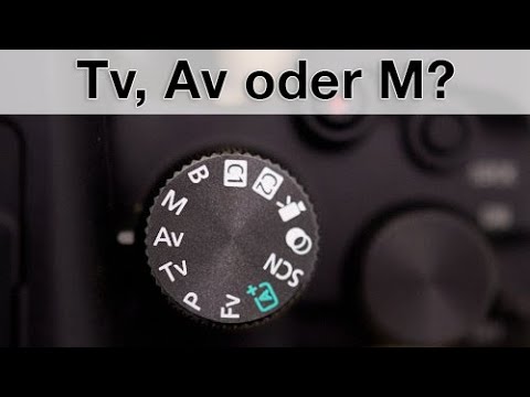 Welcher Aufnahmemodus für die Tierfotografie? mit @ChrisKaula