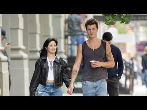 More Shawn Mendes And Camila Cabello Sightings With PDA