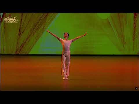 Bogdan Verbovoy (Kazakhstan) - Golden Age Variation | XIV Moscow Ballet Competition, Senior Round 3