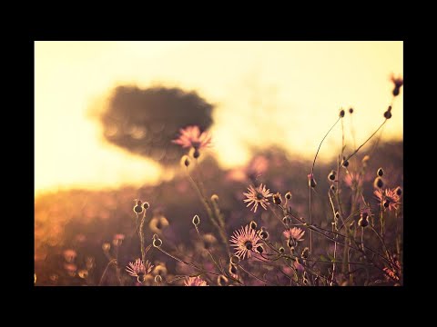 Andy Jay Powell - Welcome to the Club, 2002-11-19