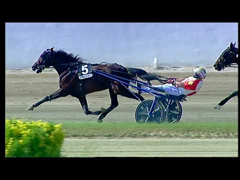 Napoli Trotto 08/05/2021 - 6ª corsa