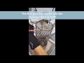 Fast Removal of HDPE & Color Concentrate Extrusion Tooling Video