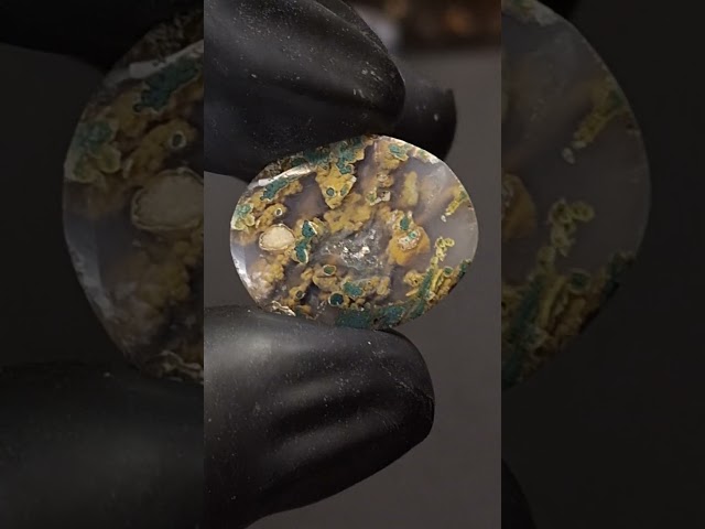 حجر عقيق شجري طبيعي