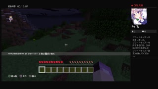 マイクラプレイ