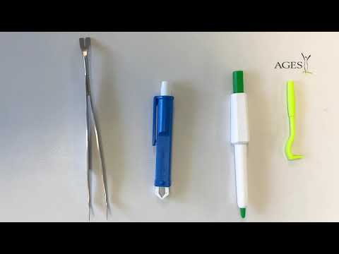 Wie entfernt man eine Zecke richtig? | AGES