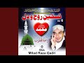 Naat Sarkar Kee Parta Hoon Mein