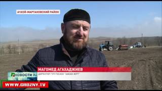 На полях республики полным ходом идет работа по посеву яровых культур 
