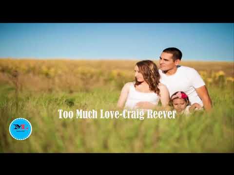 Too Much Love By Craig Reever feat Willow[ 2010s Pop Music]