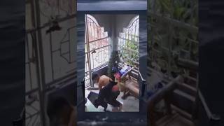 Download lagu sudah tak tahan icik bos! #shorts #memes #funny mp3