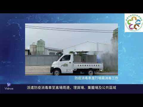 防疫金鐘罩　養禽一把罩