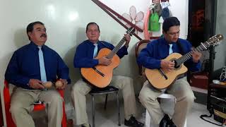 Video de Armonía Trío