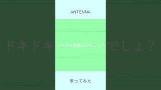 ANTENNA / Mrs. GREEN APPLE (Cover) #歌ってみた #shorts