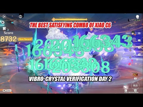 The Best Satisfying Combo of Xiao C6 1.2M DMG Per S - Vibro-Crystal Verification Day 2 8732 Score