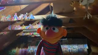 The Insects in Your Neighborhood