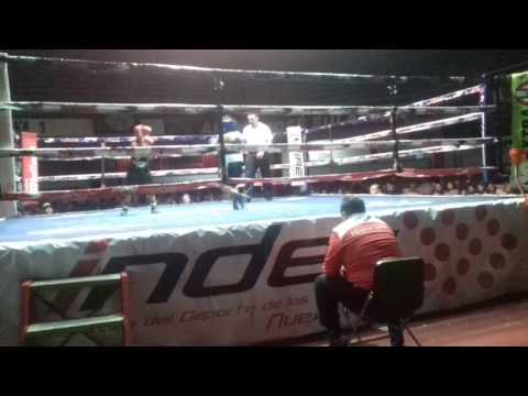 Pelea Moy jimenez vs. Francisco Vargas Dic. Guantes de Oro 2016