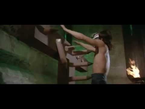 Los Cinco Venenos, cinco técnicas de Kung Fú