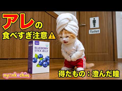 にゃんこちん」のYahoo!リアルタイム検索 - X（旧Twitter）を