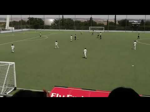 Alevines en Valdebebas 22/06/2019