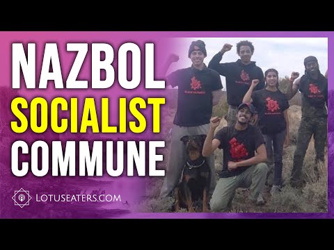 Black Hammer’s Colorado Commune