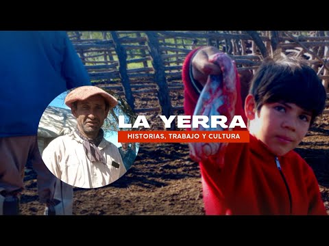 Yerra en La Isla Punta Piragua.