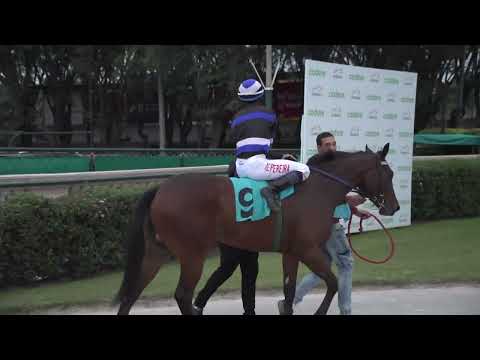 230610 c04 ROSA CHOQUE (BRZ)