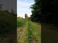 Nature Bologna Sunset Walking Spring 2023 May Calm Green Tree Relaxing Italy Dailyvlog
