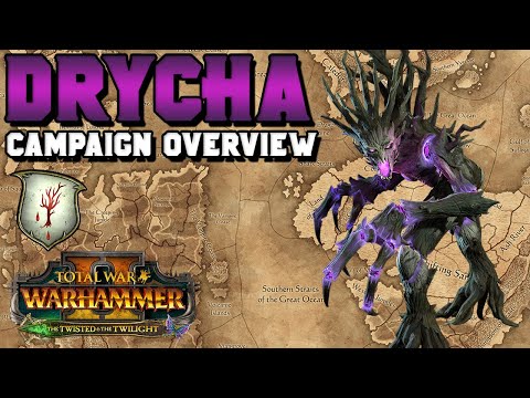 Drycha REVEAL Campaign Summary: Is It Right For You? | The Twisted & The Twilight