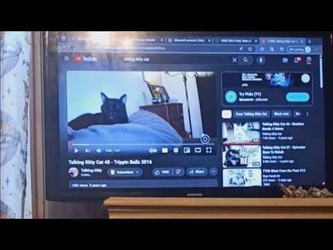 talking kitty cat 45