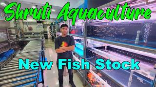 New Fish Stock at Shruti Aquaculture