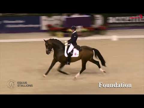 FOUNDATION (Fidertanz x De Vito x Andiamo)