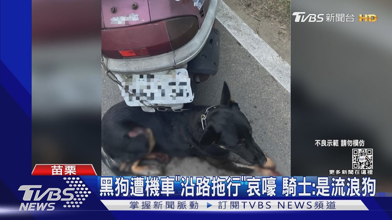 黑狗遭機車「沿路拖行」哀嚎　騎士：是流浪狗