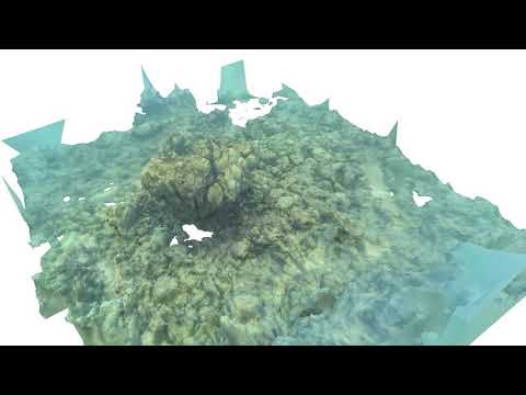 Coral Scan from Makena in Maui Hawaii