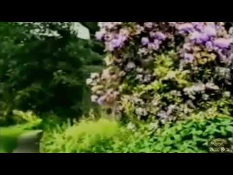 Roteiro das Águas - Expresso Rural