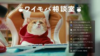 Y!mobile「ワイモバ相談室 スマホそのままでおトク」篇 15秒