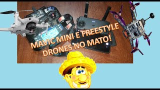 Mavic Mini FPV Freestyle