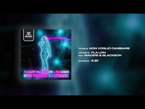 Fla Ldn - Non Voglio Cambiare feat. Riad216 & Blackson (Visualizer)