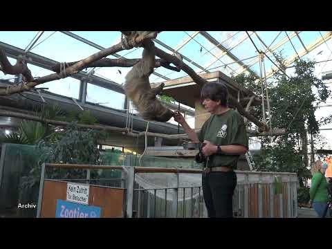 Hoyerswerda: Ferienprogramm im Zoo - LAUSITZWELLE