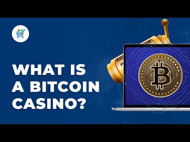 Stay Casino Review App and Mobile Guide