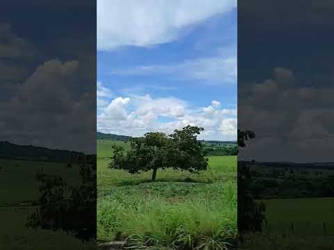 Go 080 entre Neropolis e Goiânia #automobile