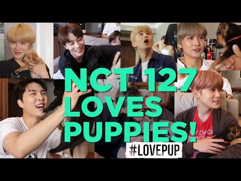 NCT 127 Loves Puppies, Taylor Swift, Lil Dicky and Standing Out!