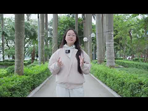 5 Bước Để Ăn Thịt Gia Cầm An Toàn – Đừng Bỏ Qua Mắt Xích Nào
