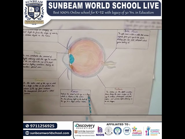 &ldquo;Understanding the Human Eye: A Student&rsquo;s Guide from Sunbeam World School&rdquo;👁️