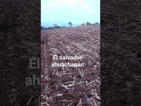 24 de febrero de 2026