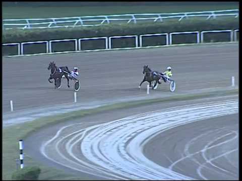 Trotto 16/10/2014 - 2° prova di riqualifica