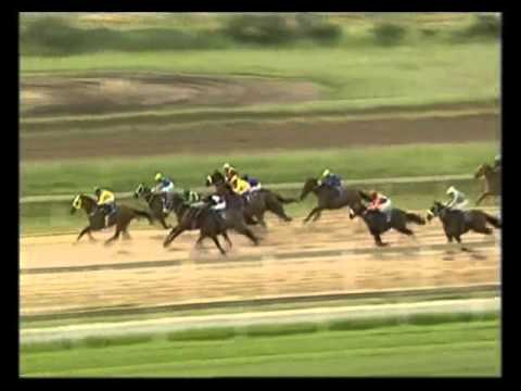 Mootahadee - 2nd win - Racing Association