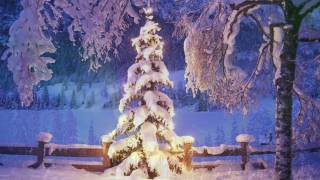 Nissebanden i Grønland - Intro Sang