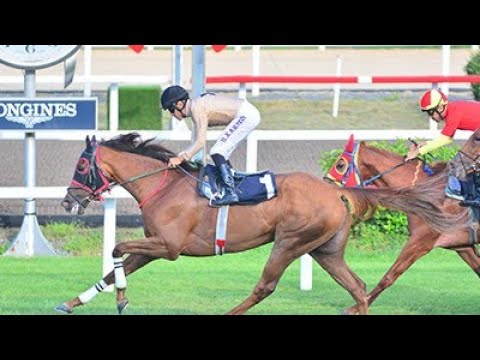 PERSISTANCE - H.FATİH TÜRERAY KOŞUSU