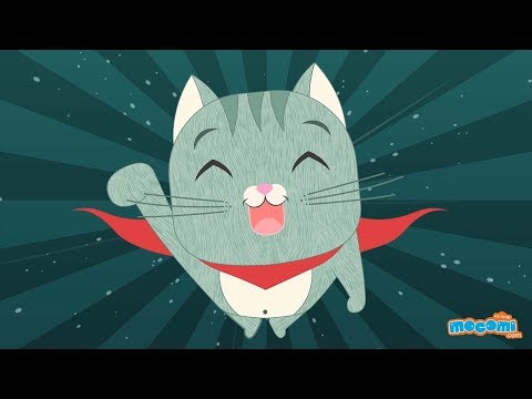 10 Fun Facts about Cats | Educational Videos by Mocomi Kids
