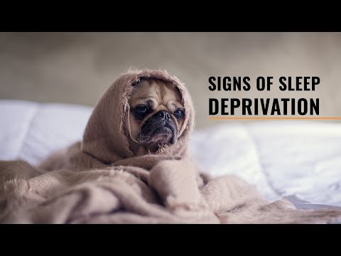 What Are Signs of Sleep Deprivation?